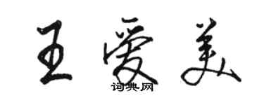 骆恒光王爱美行书个性签名怎么写