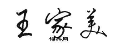 骆恒光王家美行书个性签名怎么写