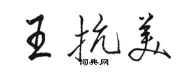 骆恒光王抗美行书个性签名怎么写