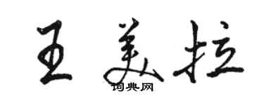 骆恒光王美拉行书个性签名怎么写