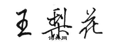 骆恒光王梨花行书个性签名怎么写