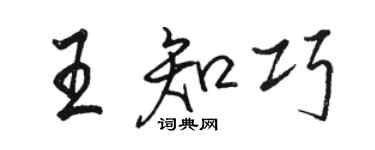 骆恒光王知巧行书个性签名怎么写