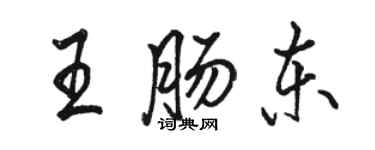 骆恒光王肠东行书个性签名怎么写