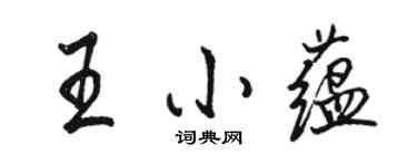 骆恒光王小蕴行书个性签名怎么写