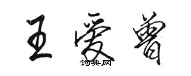 骆恒光王爱曾行书个性签名怎么写