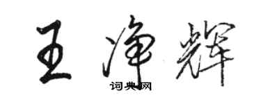 骆恒光王净辉行书个性签名怎么写