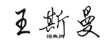 骆恒光王斯曼行书个性签名怎么写