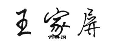 骆恒光王家屏行书个性签名怎么写