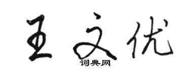 骆恒光王文优行书个性签名怎么写