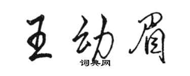 骆恒光王幼眉行书个性签名怎么写