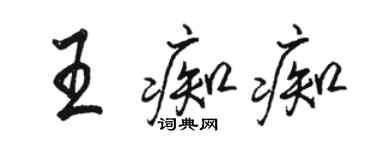 骆恒光王痴痴行书个性签名怎么写