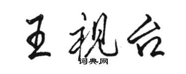 骆恒光王视台行书个性签名怎么写