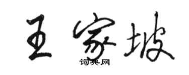 骆恒光王家坡行书个性签名怎么写