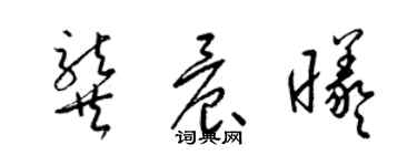 梁锦英龚晨曦草书个性签名怎么写