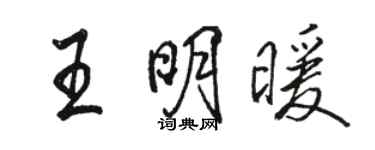 骆恒光王明暖行书个性签名怎么写