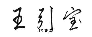 骆恒光王引宝行书个性签名怎么写