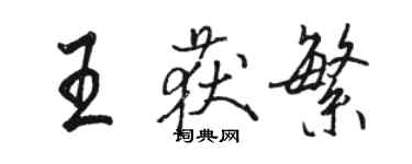骆恒光王获繁行书个性签名怎么写