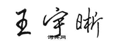 骆恒光王宇晰行书个性签名怎么写