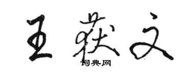 骆恒光王获文行书个性签名怎么写