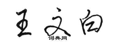 骆恒光王文白行书个性签名怎么写