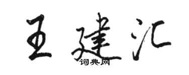 骆恒光王建汇行书个性签名怎么写