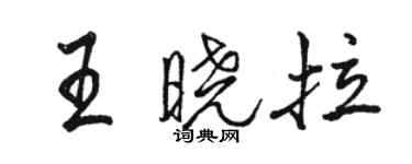 骆恒光王晓拉行书个性签名怎么写