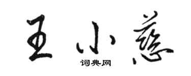 骆恒光王小慈行书个性签名怎么写