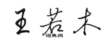 骆恒光王若木行书个性签名怎么写