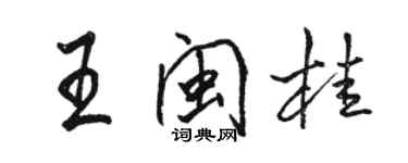 骆恒光王闽桂行书个性签名怎么写