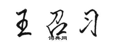 骆恒光王召习行书个性签名怎么写