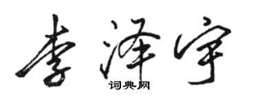 骆恒光李泽宇行书个性签名怎么写
