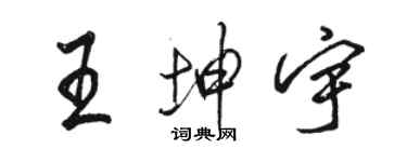 骆恒光王坤宇行书个性签名怎么写