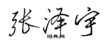 骆恒光张泽宇行书个性签名怎么写