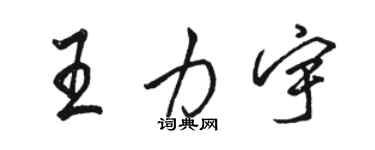 骆恒光王力宇行书个性签名怎么写