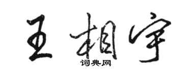 骆恒光王相宇行书个性签名怎么写