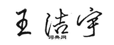 骆恒光王洁宇行书个性签名怎么写