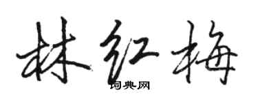 骆恒光林红梅行书个性签名怎么写