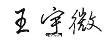 骆恒光王宇微行书个性签名怎么写