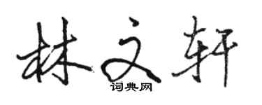 骆恒光林文轩行书个性签名怎么写