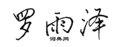 骆恒光罗雨泽行书个性签名怎么写