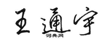 骆恒光王通宇行书个性签名怎么写