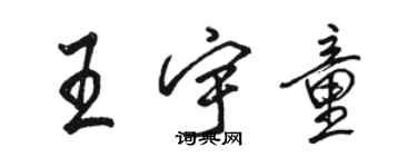 骆恒光王宇童行书个性签名怎么写