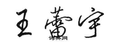 骆恒光王蕾宇行书个性签名怎么写