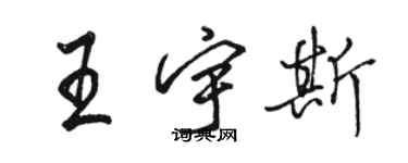 骆恒光王宇斯行书个性签名怎么写