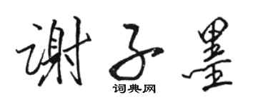 骆恒光谢子墨行书个性签名怎么写