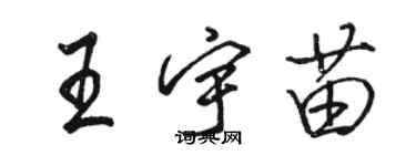 骆恒光王宇苗行书个性签名怎么写