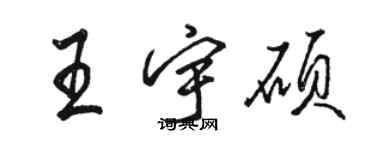 骆恒光王宇硕行书个性签名怎么写