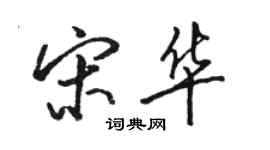 骆恒光宋华行书个性签名怎么写