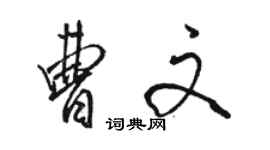 骆恒光曹文行书个性签名怎么写