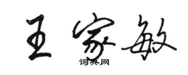 骆恒光王家敏行书个性签名怎么写